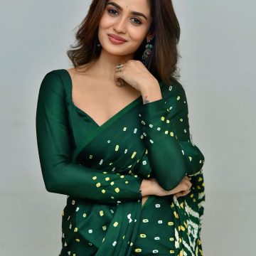 Previous Image