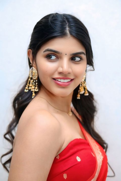 Mension House Mallesh Press Meet: Gayathri Ramana Saree Stills