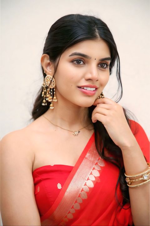 Gayathri Ramana Blends Traditional and Contemporary Saree Fashion