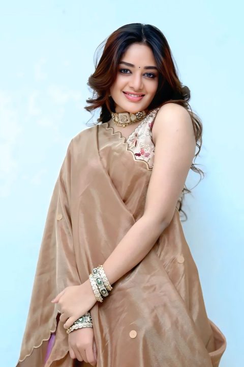 Deepshika Chandran Sets Ethnic Goals in Rich Jewel-Toned Outfit