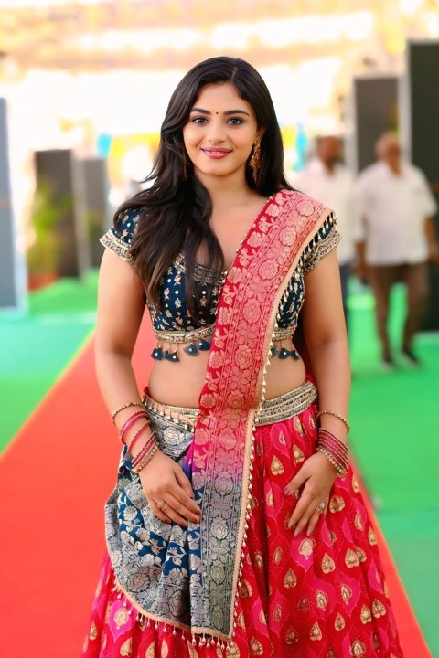 Nayan Sarika Sets Ethnic Goals in Pink Banarasi Brocade Skirt