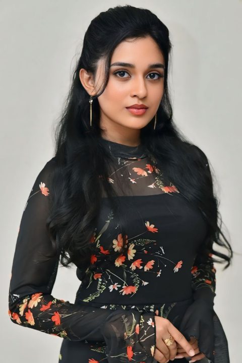 Godari Gattupaina Thank You Meet: Nidhi Pradeep Dress Photos