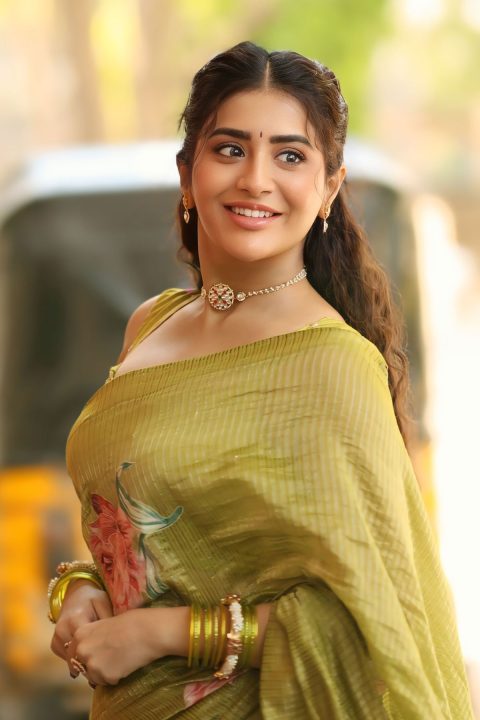HD Gallery: Rashi Singh Stunning at Transfer Trimurthulu Stills