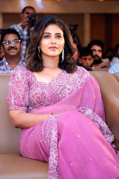 Anjali Latest Photos: Dusty Mauve Saree Fashion Stills