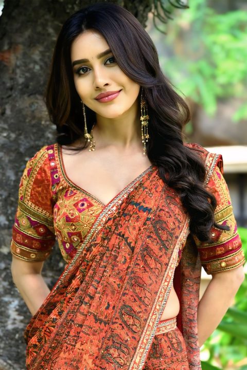 Nagabandham Movie Interview: Nabha Natesh Saree Photos