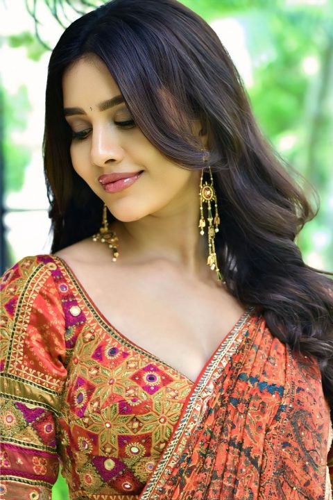 Nabha Natesh Dazzles in Vibrant Rust Saree & Mirror-Work Blouse