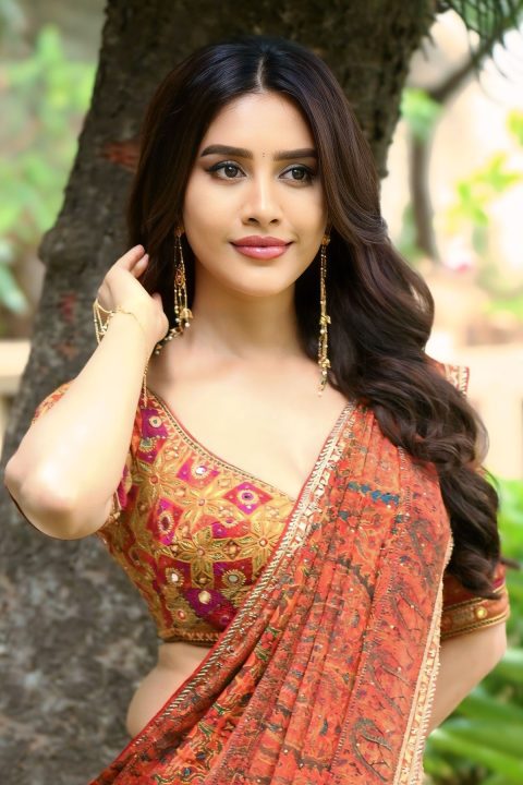 Get the Look: Nabha Natesh in Saree Fashion at Nagabandham Promo