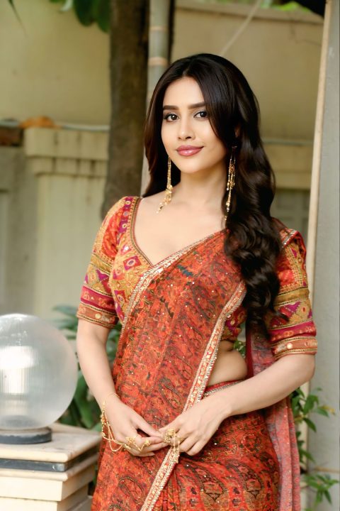 Nabha Natesh Latest Photos: Kalamkari Saree Fashion Stills