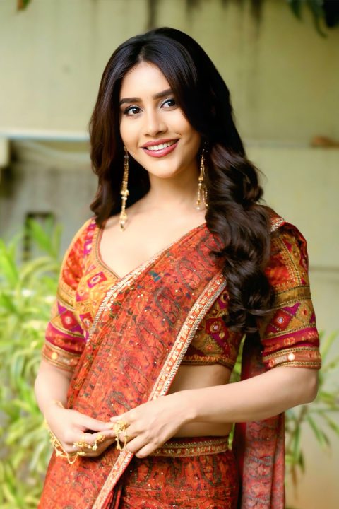 Nabha Natesh Glamorous Photos in Rust Ethnic Wear