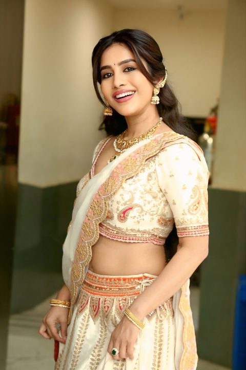 Tollywood Actress Nabha Natesh traditional Show at Promo Event