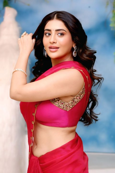 Rashi Singh Sizzling Stills in Sheer Saree | Transfer Trimurthulu