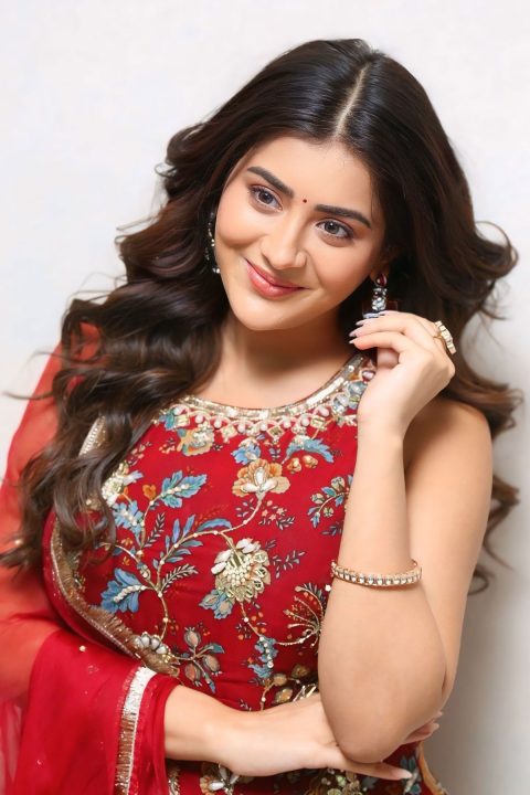 Gossip Movie Press Meet: Rashi Singh Maroon Outfit Photos