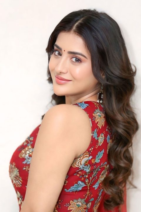 Beautiful Rashi Singh Images in Maroon Embroidered Ethnic Wear