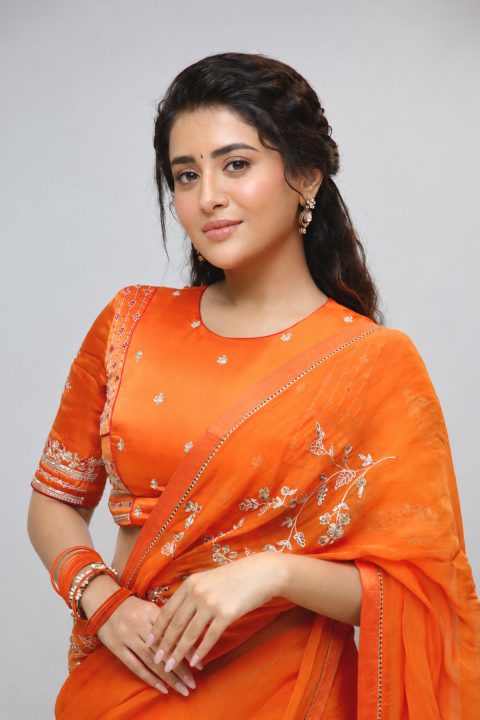 Rashi Singh Stills in Orange Saree | Transfer Trimurthulu Trailer Launch