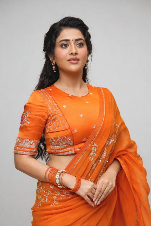 Transfer Trimurthulu Trailer Launch: Rashi Singh Orange Saree Photos