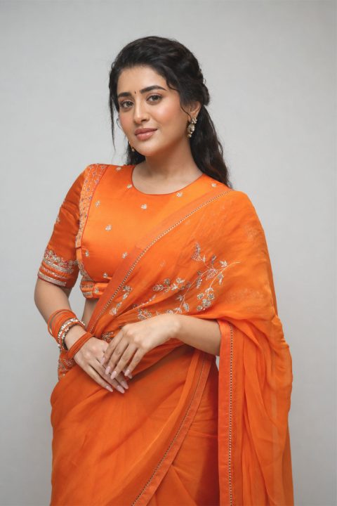 Beautiful Rashi Singh Images in Orange Traditional Embroidered Saree