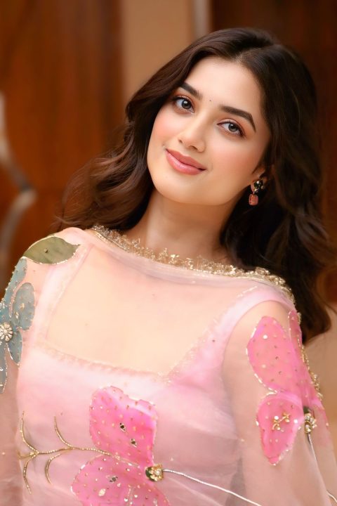Actress Bhagyashri Borse Floral Organza Cape Lenin Press Meet