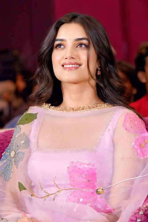 Lenin Pre Release Event Bhagyashri Borse Pink Kurta Fashion