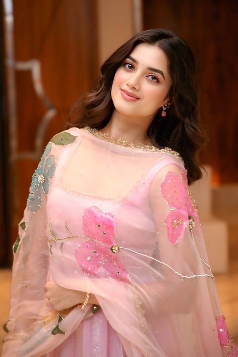 Pink Shimmer Kurta Bhagyashri Borse Lenin Press Meet Outfit