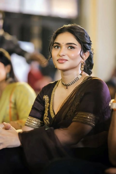 Dark Chocolate Organza Saree Worn by Kayadu Lohar