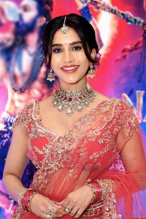 Gorgeous Nabha Natesh in Pink Designer Lehenga | Nagabandham Movie