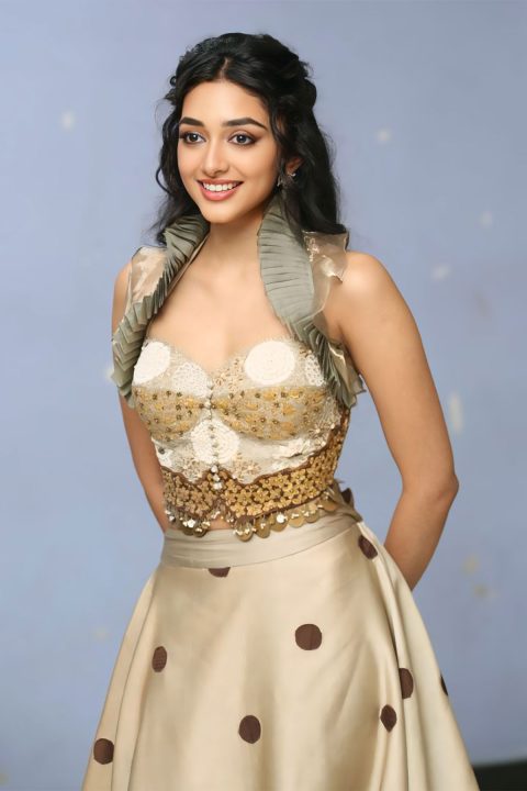 Preity Mukhundhan Pearl Embroidered Corset Top Style