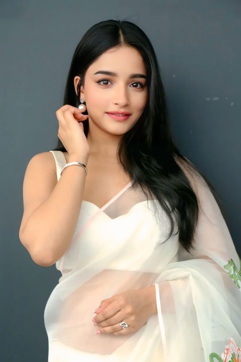 Vishakha Dhiman Sheer White Organza Saree Raja The Raja Press Meet