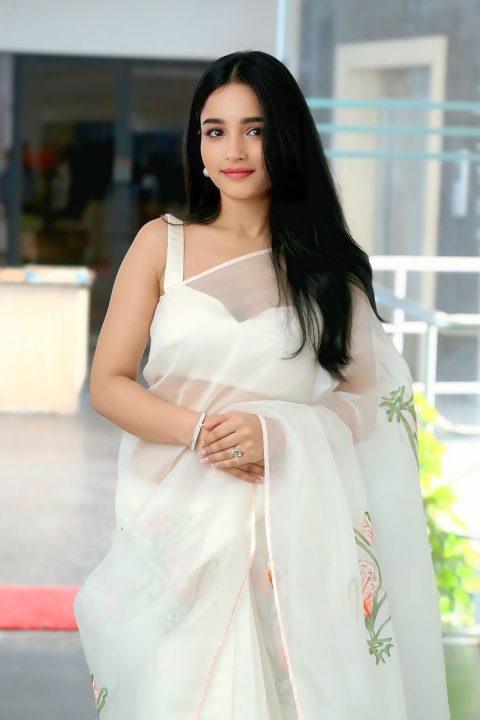 Vishakha Dhiman Stunning Traditional Look Raja The Raja Launch