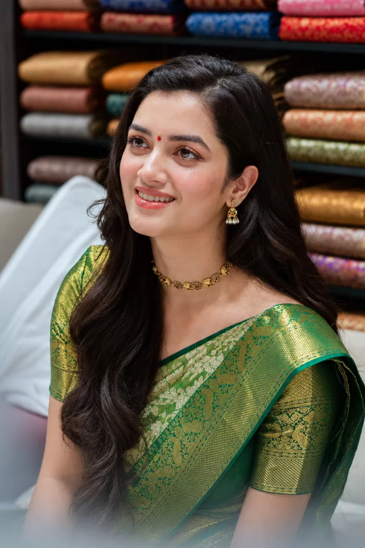 Bhagyashri Borse Seated in Green Silk Saree