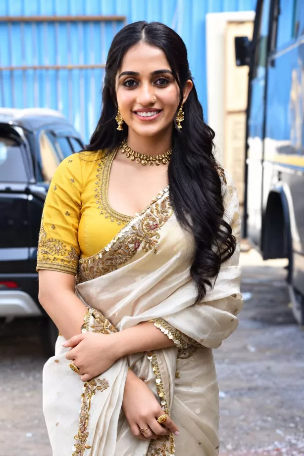 Sakshi Mhadolkar Karikaala movie Antique Gold Embroidery Style